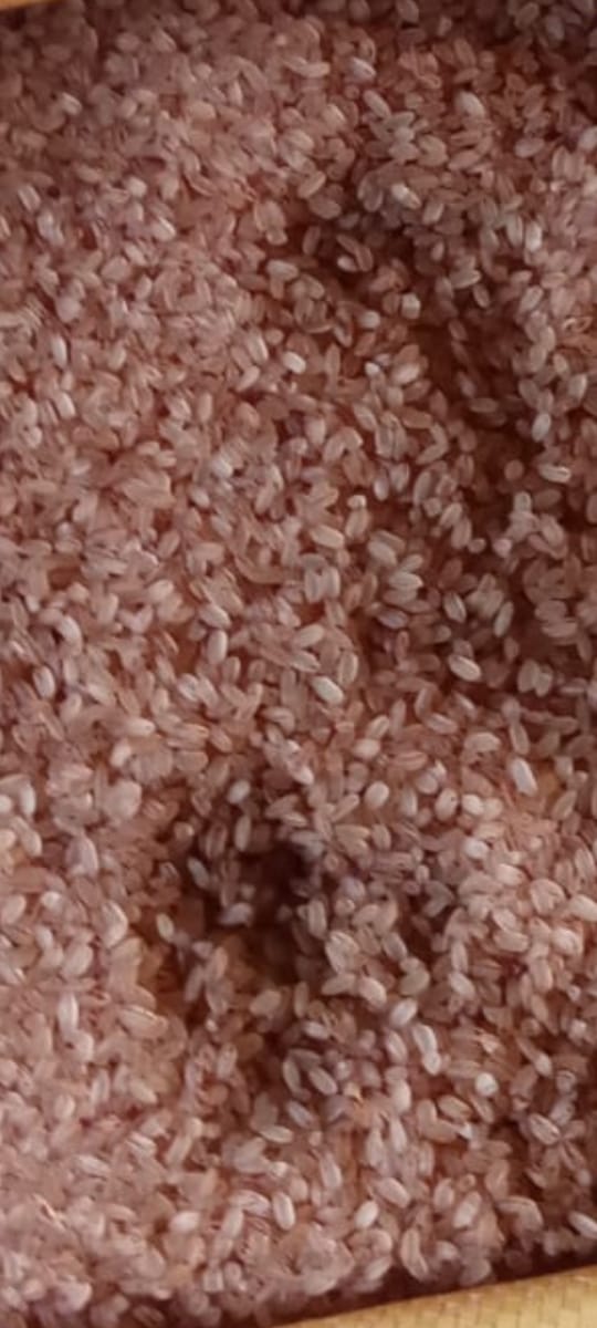 WhatsApp Image 2025-07-10 at 10.47.44 AM.jpeg